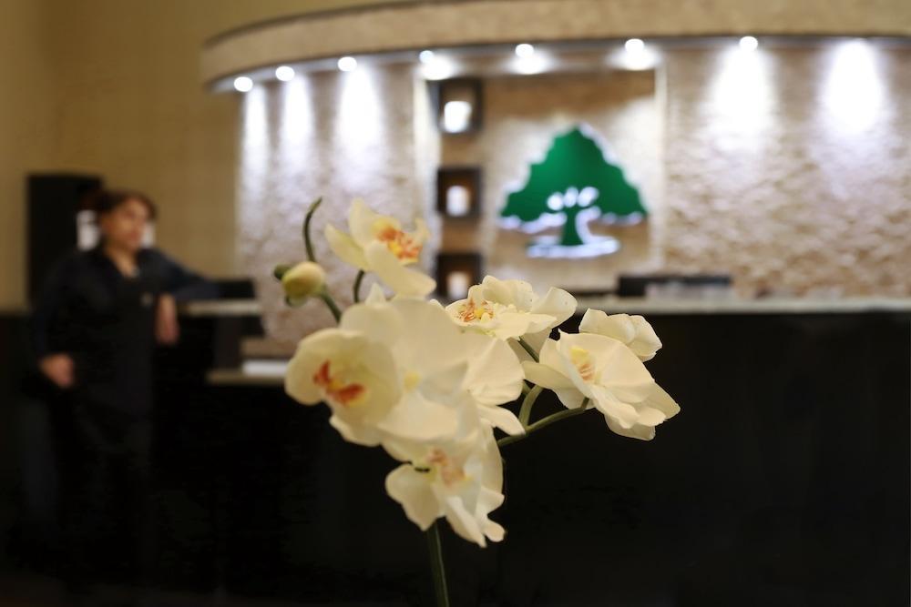 Red Roof Inn & Suites Лонгвью Экстерьер фото